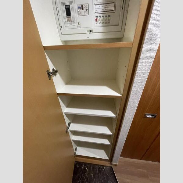 レフィーズ上野 玄関