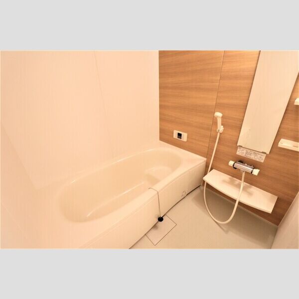 apartment Will201号室 一坪風呂