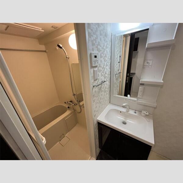 S-RESIDENCE横濱阪東橋503号室 洗面