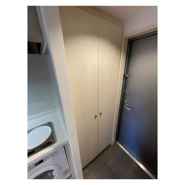 メゾン・ド・ヴィレ麻布台1405号室 シューズボックス