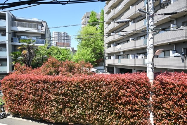 モンクール高野台2階 展望