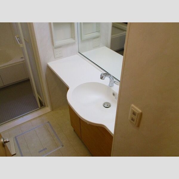 袖ヶ浦ヒルサイドプラザ　B101号室 洗髪洗面化粧台