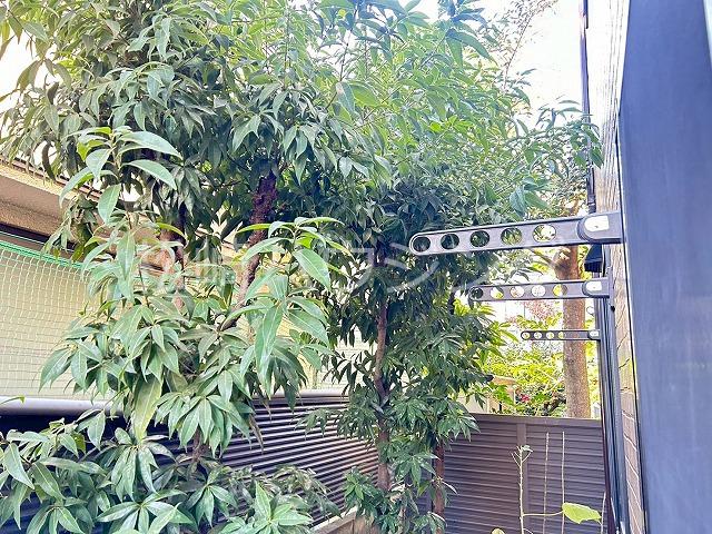 マインハウゼ1階 部屋その他