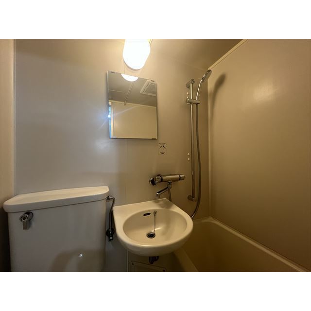 グリーンヒルズ105号室 鏡付きで便利