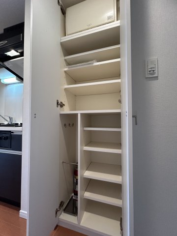 ハーモニーレジデンス東京シティゲート1001号室 収納
