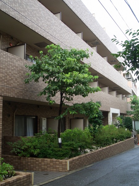 菱和パレス早稲田302号室 外観