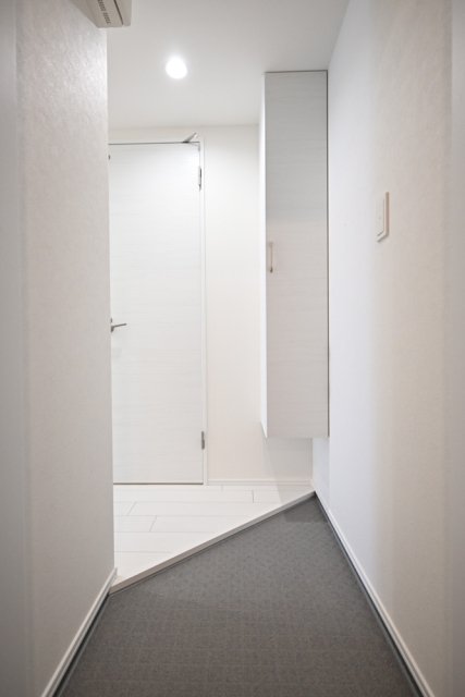 Ｒｅｓｉｄｅｎｃｅ　南千住3階 玄関