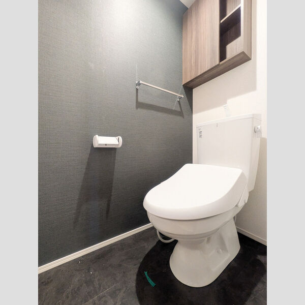 クロエ橋本101号室 トイレ