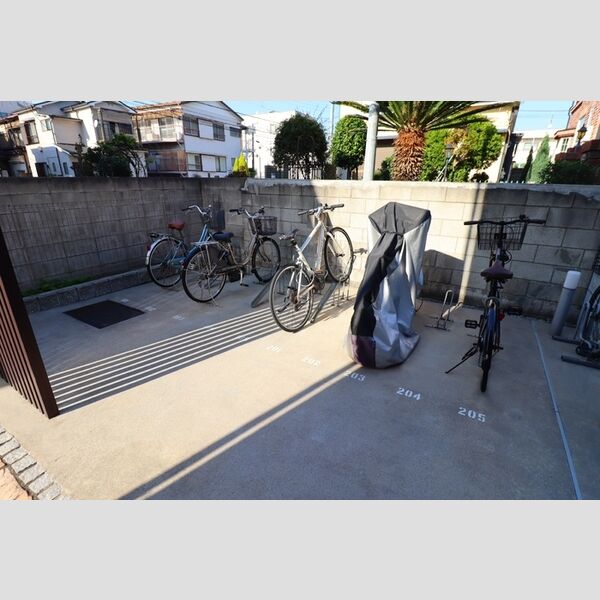 コットンハウス 駐輪場
