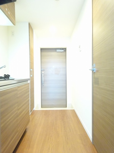 ラフィスタ宮崎台502号室 その他