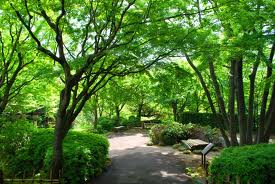 アルファホームズ池田山 【公園】池田山公園まで680ｍ