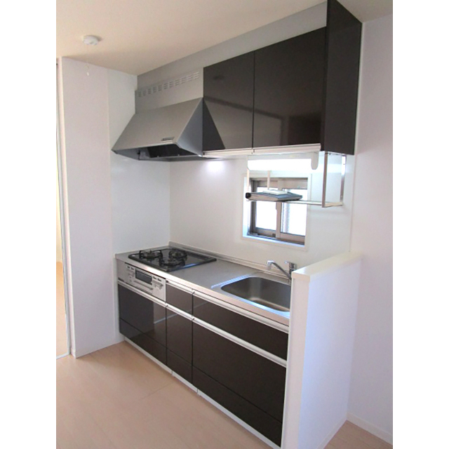 カリオ鵜の木B号室 キッチン