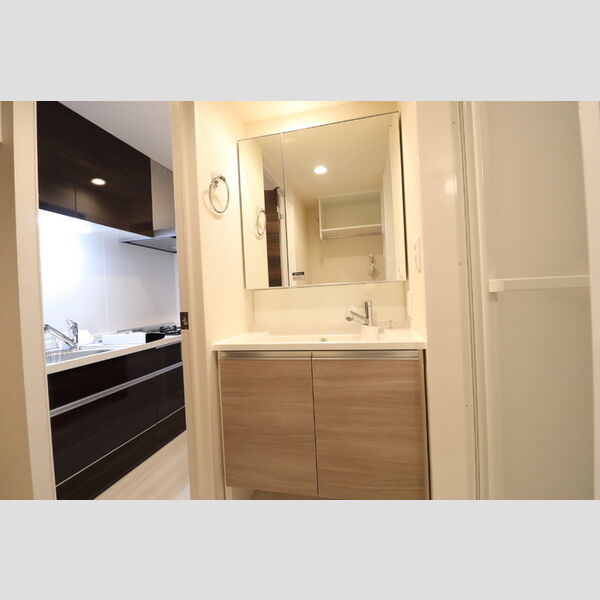 D-ROOM椿森1丁目B303号室 洗髪洗面化粧台