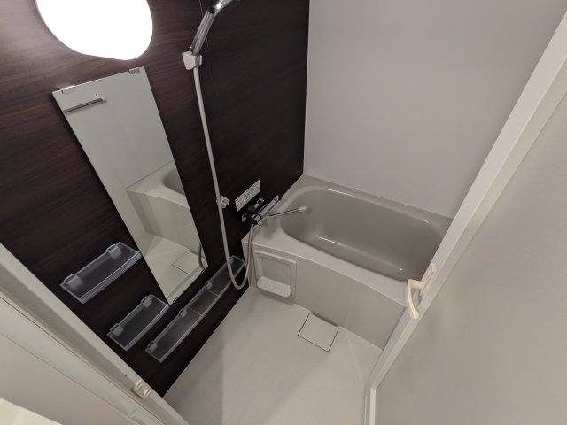 ケーディーエックスレジデンス豊洲432号室 お風呂