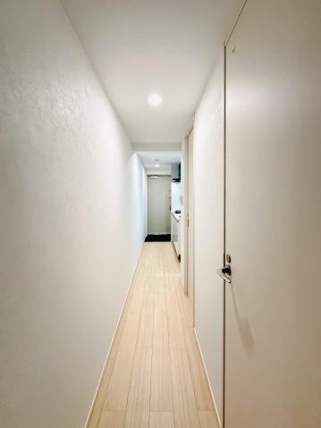 スカイコートリュクス品川大崎102号室 内観