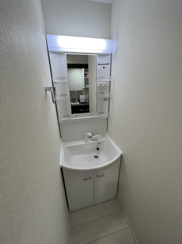 ハーモニー東十条テラス0103号室 洗面