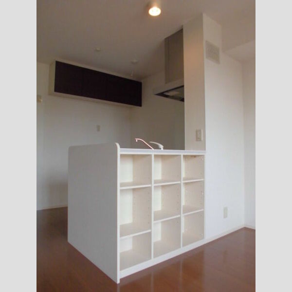 グレイスコート206号室 カウンター下収納