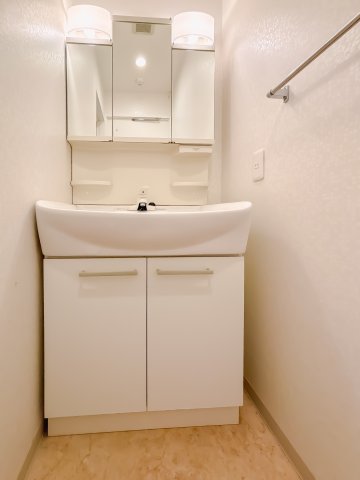 アイビーテラス302号室 洗面