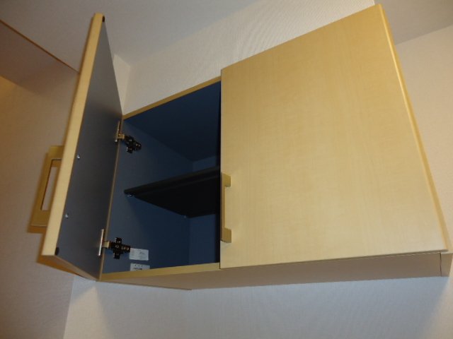 ワンピース 収納