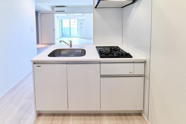 ステージグランデ錦糸町Ⅱ9階 キッチン