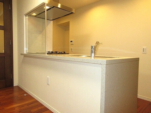 ロイヤルシーズン新宿柏木 キッチン　別角度　※内装前