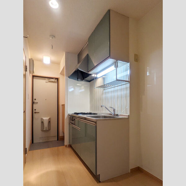 ルインズ・イン・マルヤマ　ABCDEFA103号室 キッチン