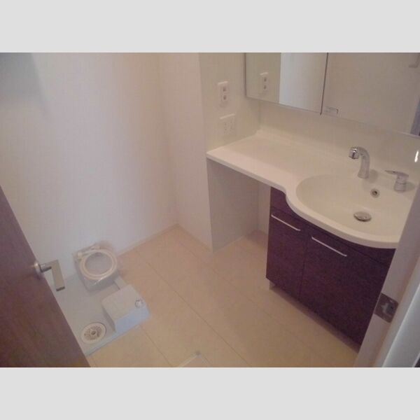 北葛西ハイツ　Ⅱ101号室 洗面室