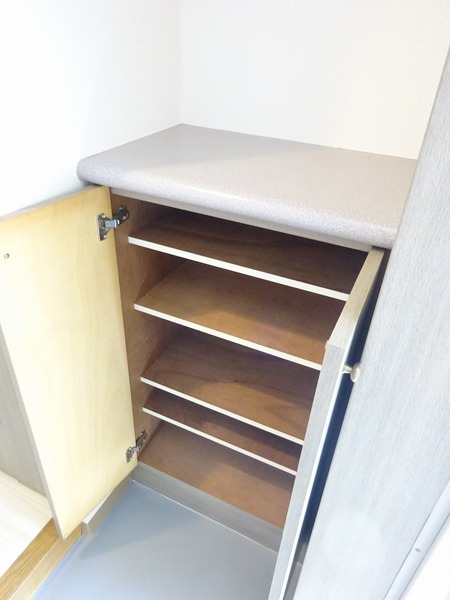 ライオンズシティ蕨403号室 収納