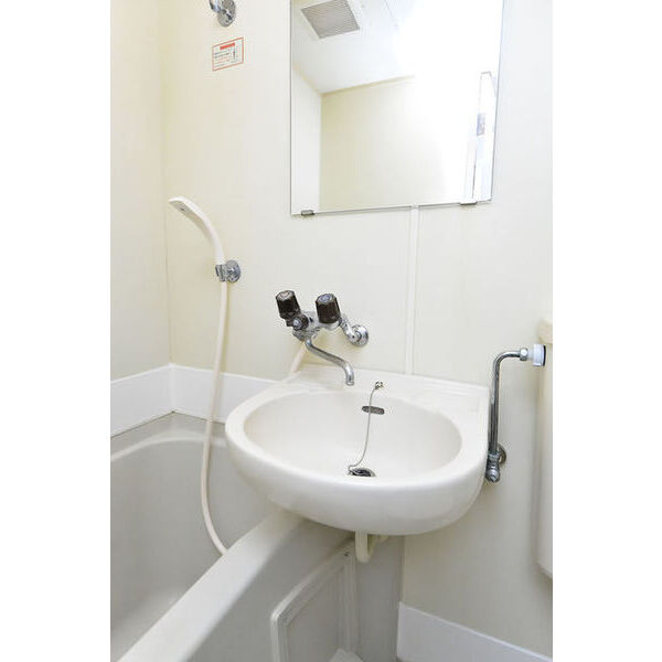 メゾン・ド・クレディ0203号室 洗面