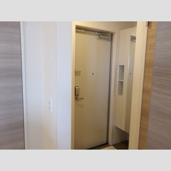 ルミナーレ(大和田新田PJ)303号室 玄関