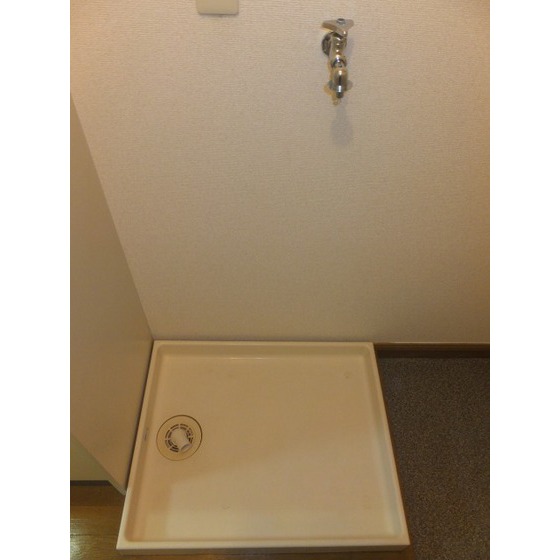 カーサグリスメイユー0204号室 洗濯機置場