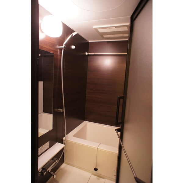 スパシエグランス学芸大学502号室 部屋その他