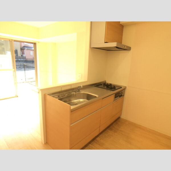 ジ・エレガンス城山 対面式キッチンです。