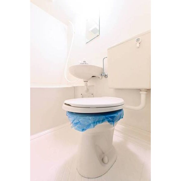 ジュネパレス座間第12-B トイレ