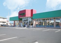 ブリスティア湘南 しまむらストアー中原御殿店まで456ｍ