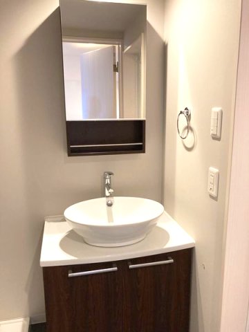 ヒルハイツ上本郷105号室 洗面