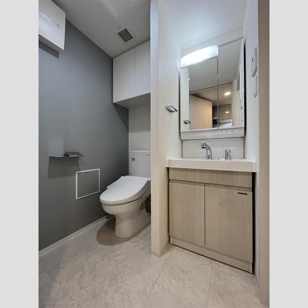 S-RESIDENCE板橋大山303号室 洗面