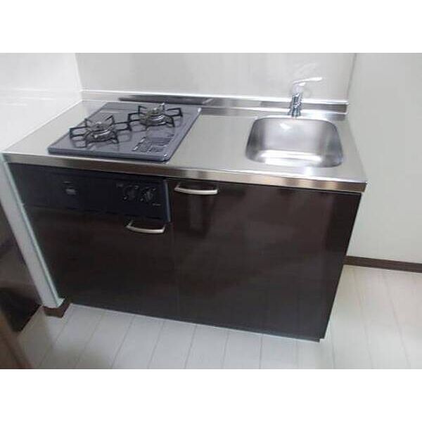 ルミエール　エタンセル　ドゥー0203号室 キッチン