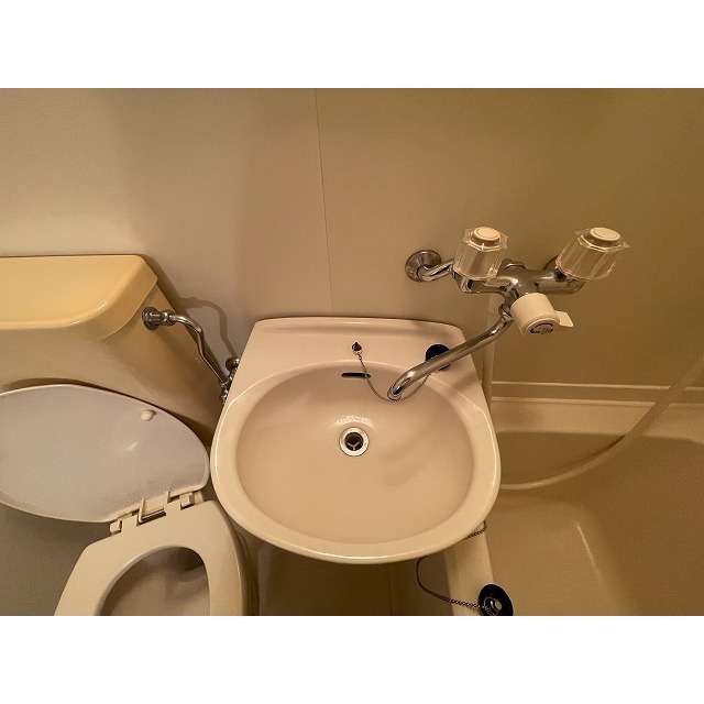 ベルメゾン川崎Ⅱ 洗面台