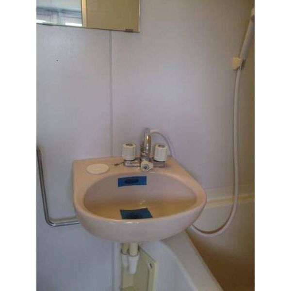 ラ・レジダンス・ド・鷺沼 洗面