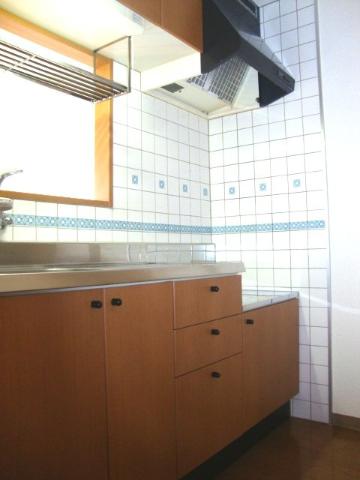 グランチェスタハイツB201号室 キッチン