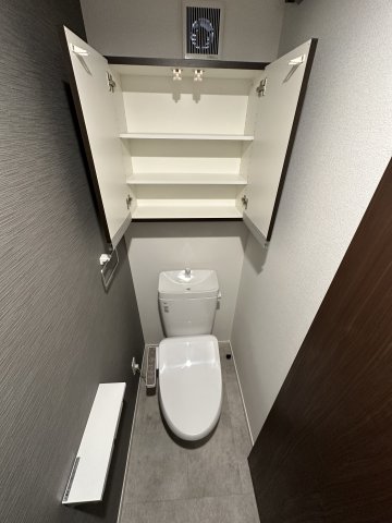 ベイルームスカイ海老名104号室 トイレ