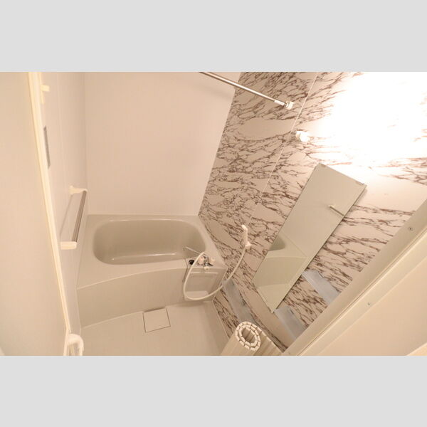 ロイヤルアーク105号室 浴室