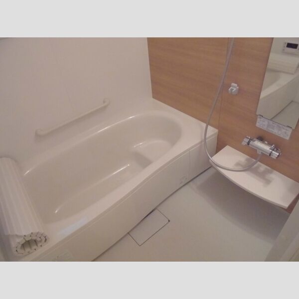 ル・ブラン立花107号室 浴室