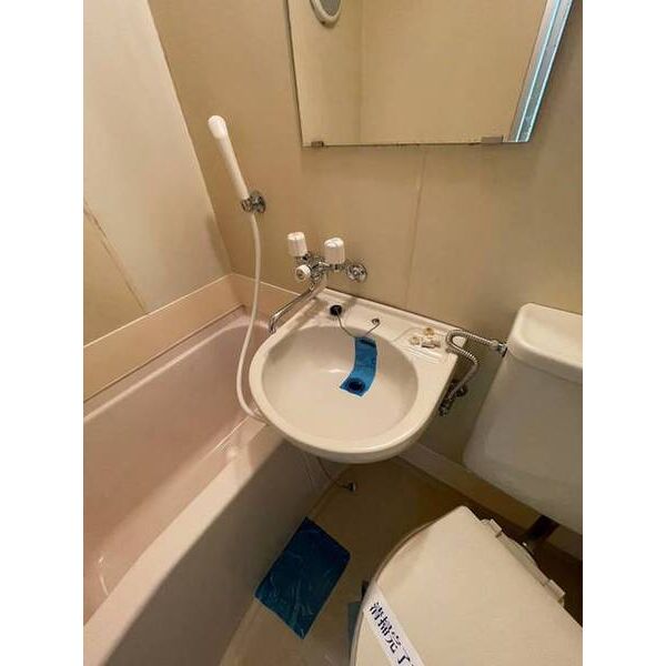 メゾン・ド・エルベット0203号室 洗面