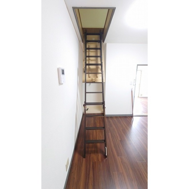 メゾンイーストワイド0202号室 グルニエへの梯子