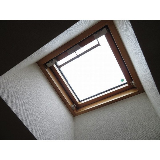 ベルクハイム0205号室 天窓付き