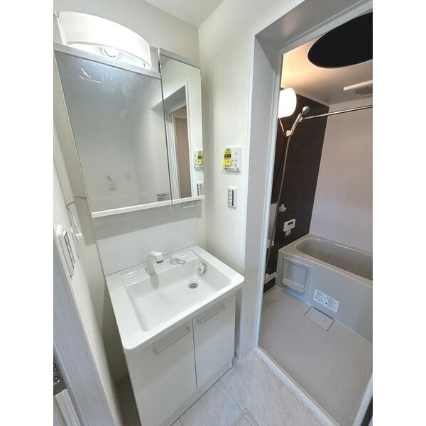 Ambition袋山303号室 洗面