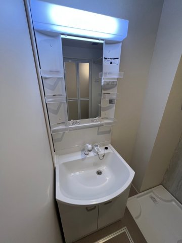 ブリエ新小岩0103号室 洗面