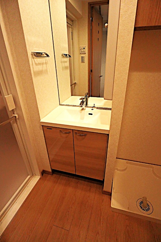 ルーブル武蔵中原参番館 洗面